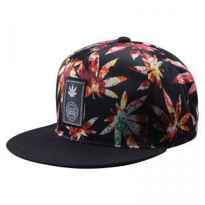 Factory customization Curve Brim 6 Panel Waterproof Hip hop style Nylon Baseball Cap