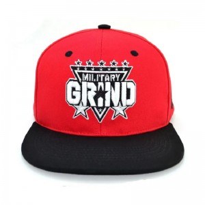 Wholesale China Supplier Custom Flat Embroidered Snapback cap Hat