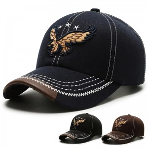 Popular Embroidered sports hats snapback baseball caps Image cotton hats for women and men