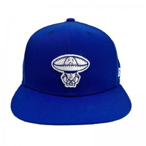 New hat selling wholesale hot brand fitted hat 6 panel hip hop snapback cap