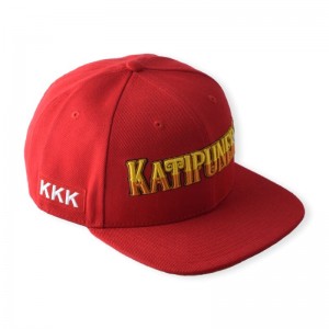 HST Brand Factory direct Custom 6 panels tap printing Hip Hop Snapback Hat  Rich design 3D Embroidery Logo Flat Brim Cap